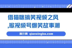 猫咪搞笑视频玩法，视频号爆笑故事新风口，零基础也能轻松上手
