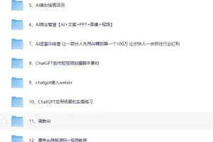AI变现实战案例教程合集：从入门到变现的全流程操作指南