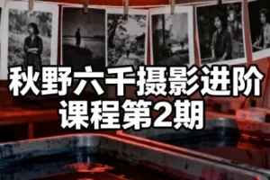 秋野六千摄影进阶课程第2期 系统提升拍摄与后期修图实战能力