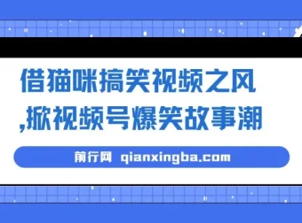 猫咪搞笑视频引爆视频号，爆笑故事轻松变现，零门槛快速上手
