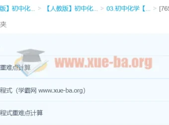 初中化学化学式与化学方程式计算重点突破精讲