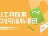 AI工具应用私域引流特训班，从规则避坑到精准转化全流程实操指南
