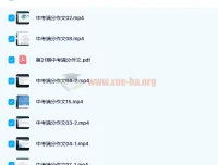 上海名师顾老师中考作文满分特训营视频课程