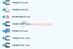 上海名师顾老师中考作文满分特训营视频课程