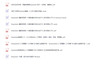 2025年DeepSeek书籍合集PDF电子版，AI应用与变现全攻略