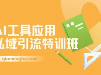 AI工具应用私域引流特训班，从规则避坑到精准转化全流程实操指南