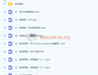 2022树成林平盖尔高考语文冲刺课47讲完整版