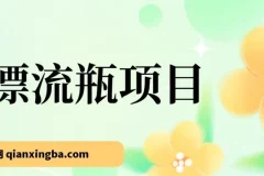 漂流瓶掘金副业实操课，手机挂机日入百元，支持多设备批量操作
