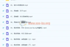 2022树成林平盖尔高考语文冲刺课47讲完整版
