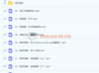 2022树成林平盖尔高考语文冲刺课47讲完整版