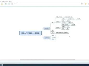 2025拼多多实战指南：纪主任盈利地图+爆款技巧