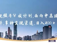 视频号分成计划实战教程，中高端人群多渠道路径，日入200+