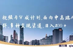 视频号分成计划实战教程，中高端人群多渠道路径，日入200+