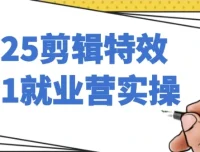 2025剪辑特效1对1就业营实操课程