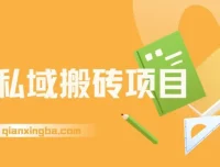 淘私域搬砖项目实操课程，信息差玩法月入5W，每天1小时轻松操作
