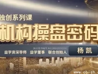 机构操盘密码操盘策略提升班视频课程 杨凯半年班完整教学资料