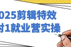 2025剪辑特效1对1就业营实操课程