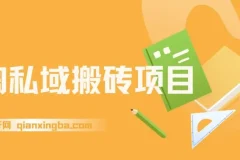 淘私域搬砖项目实操课程，信息差玩法月入5W，每天1小时轻松操作