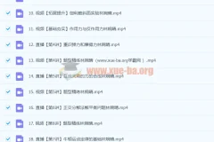 2024高中物理高一林婉晴暑假课程 系统精讲匀变速运动与力学基础