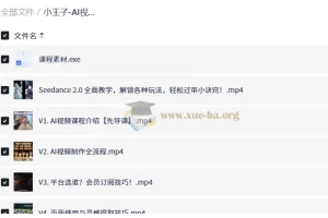 小王子AI视频从0到1系统课，全流程实战教学与变现指南