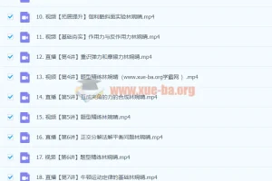 2024高中物理高一林婉晴暑假课程 系统精讲匀变速运动与力学基础