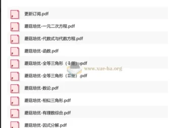 蘑菇培优初中数学小绿皮全9册PDF合集