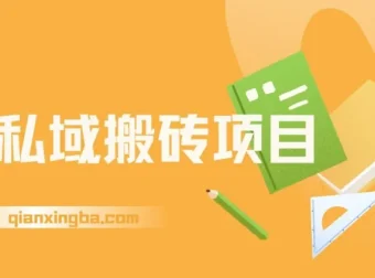 淘私域搬砖项目实操课程，信息差玩法月入5W，每天1小时轻松操作