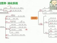 初一生物春季系统课程：人体八大系统精讲与期末备考资料包
