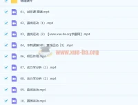 2022树成林高考物理冲刺课22讲完整版