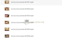 学龄前英语启蒙动画《Go！Go！小小车向前冲》全三季合集