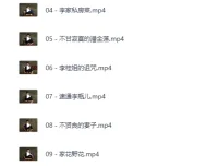 B站充电专属：吸奇侠《金瓶梅》系列深度解说合集