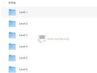 小学语文有道分阶写作课Level 1-6全套视频课程