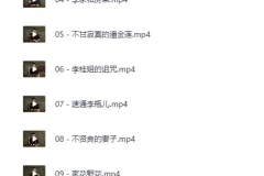 B站充电专属：吸奇侠《金瓶梅》系列深度解说合集