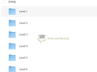 小学语文有道分阶写作课Level 1-6全套视频课程