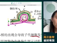 2024高三生物冲刺护航班-毛慧精讲