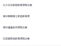 家庭教育系列课集（北大花花+清华楠楠+清华潘潘+沈奕斐）视频课程
