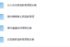 家庭教育系列课集（北大花花+清华楠楠+清华潘潘+沈奕斐）视频课程