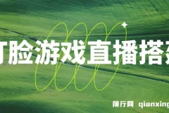 打脸扇巴掌游戏无人直播搭建教程，礼物互动整蛊玩法全解析