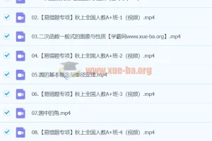 2024届初三数学中考备考（王杭州）A+暑假班 人教同步提升