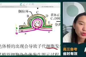 2024高三生物冲刺护航班-毛慧精讲