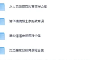 家庭教育系列课集（北大花花+清华楠楠+清华潘潘+沈奕斐）视频课程