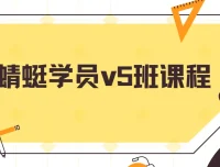 斜杠蜻蜓学员v5班课程 高利润电商实操全流程