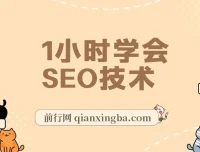 1小时学会SEO技术 网站排名优化实战高级教程-秒杀市面95%收费几千的SEO教程