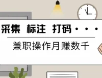 线上数据兼职实操教程合集：采集、标注、打码全流程培训与配套软件