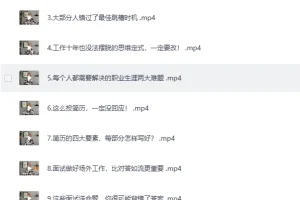 职场生存图鉴：拿下令你心动的offer——B站职场进阶实战课