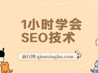 1小时学会SEO技术 网站排名优化实战高级教程-秒杀市面95%收费几千的SEO教程