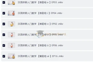 汉语拼音入门教学视频合集，零基础学拼音系统课程
