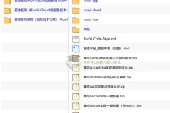 若依框架全套视频教程：RuoYi-Vue前后端分离、微服务Cloud及经典版实战合集