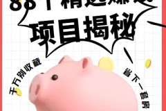 88个精选赚钱项目揭秘：从引流到变现的全套实战资料