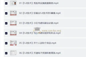 AI实操 小红书虚拟赚钱项目